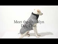 Indlæs og afspil video i gallerifremviser, Cloud7 Hundefrakke Gravhund Brooklyn Flannel Grey