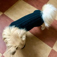 Indlæs billede i gallerifremviser, Calimar Hunde Sweater Grøn - MyDreamPet