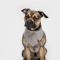 Indlæs billede i gallerifremviser, Cloud7 Bandana Hund Mille Fleurs - MyDreamPet