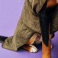 Indlæs billede i gallerifremviser, Cloud7 Hundebadekåbe og Hundehåndklæde Salvie - MyDreamPet