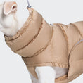 Indlæs billede i gallerifremviser, Cloud7 Hundefrakke Alaska Cream - MyDreamPet