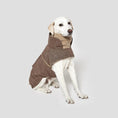 Indlæs billede i gallerifremviser, Cloud7 Hundefrakke Brooklyn Flannel Hazel - MyDreamPet