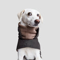 Indlæs billede i gallerifremviser, Cloud7 Hundefrakke Brooklyn Graphite - MyDreamPet