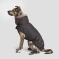 Indlæs billede i gallerifremviser, Cloud7 Hundefrakke Brooklyn Graphite - MyDreamPet