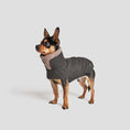 Indlæs billede i gallerifremviser, Cloud7 Hundefrakke Brooklyn Graphite - MyDreamPet