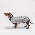 Indlæs billede i gallerifremviser, Cloud7 Hundefrakke Gravhund Brooklyn Fern Green - MyDreamPet