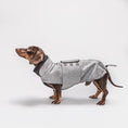 Indlæs billede i gallerifremviser, Cloud7 Hundefrakke Gravhund Brooklyn Flannel Grey - MyDreamPet