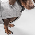 Indlæs billede i gallerifremviser, Cloud7 Hundefrakke Gravhund Brooklyn Flannel Grey - MyDreamPet