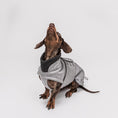 Indlæs billede i gallerifremviser, Cloud7 Hundefrakke Gravhund Brooklyn Flannel Grey - MyDreamPet