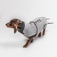 Indlæs billede i gallerifremviser, Cloud7 Hundefrakke Gravhund Brooklyn Flannel Grey - MyDreamPet