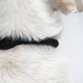 Indlæs billede i gallerifremviser, Cloud7 Hundehalsbånd Læder Ravello Sort - MyDreamPet