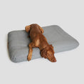 Indlæs billede i gallerifremviser, Cloud7 Hundepude Dream Heather Grey - MyDreamPet