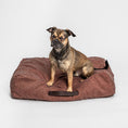 Indlæs billede i gallerifremviser, Cloud7 Hundepude Homey Mélange Anthra - MyDreamPet