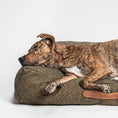 Indlæs billede i gallerifremviser, Cloud7 Hundepude Homey Mélange Olive - MyDreamPet
