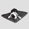 Indlæs billede i gallerifremviser, Cloud7 Hundepude SIESTA Outdoor Graphite - MyDreamPet