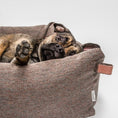 Indlæs billede i gallerifremviser, Cloud7 Hundeseng Sleepy Deluxe Herringbone Brun - MyDreamPet