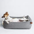 Indlæs billede i gallerifremviser, Cloud7 Hundeseng Sleepy Deluxe, Økologisk, Tweed Grey - MyDreamPet
