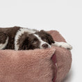 Indlæs billede i gallerifremviser, Cloud7 Hundeseng Sleepy Plush Grå - MyDreamPet