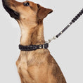 Indlæs billede i gallerifremviser, Cloud7 Hundesnor Central Park Sort - MyDreamPet