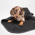 Indlæs billede i gallerifremviser, Cloud7 Hundetæppe Blødt Fleece Mørkegrå - MyDreamPet