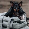 Indlæs billede i gallerifremviser, Cloud7 Hundetaske Bergamo Canvas Grå - MyDreamPet