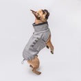 Indlæs billede i gallerifremviser, Hundefrakke Cloud7 Brooklyn Fransk Bulldog Flannel Hazel - MyDreamPet