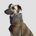 Indlæs billede i gallerifremviser, Hundefrakke Cloud7 Brooklyn Waxed Tartan - MyDreamPet
