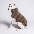 Indlæs billede i gallerifremviser, Hundefrakke Cloud7 Brooklyn Waxed Tartan - MyDreamPet