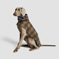 Indlæs billede i gallerifremviser, Hundefrakke Cloud7 Brooklyn Waxed Tartan - MyDreamPet