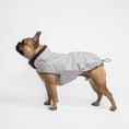 Indlæs billede i gallerifremviser, Hundefrakke Fransk Bulldog Cloud7 Brooklyn Flannel Grey - MyDreamPet
