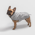 Indlæs billede i gallerifremviser, Hundefrakke Fransk Bulldog Cloud7 Brooklyn Flannel Grey - MyDreamPet