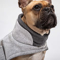 Indlæs billede i gallerifremviser, Hundefrakke Fransk Bulldog Cloud7 Brooklyn Flannel Grey - MyDreamPet