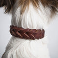 Indlæs billede i gallerifremviser, Hundehalsbånd Cloud7 Central Park Sadel Brun - MyDreamPet