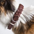 Indlæs billede i gallerifremviser, Hundehalsbånd Cloud7 Central Park Sadel Brun - MyDreamPet