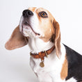 Indlæs billede i gallerifremviser, Hundehalsbånd Cloud7 Hyde Park Cognac - MyDreamPet