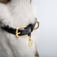 Indlæs billede i gallerifremviser, Hundehalsbånd Cloud7 Hyde Park Sort - MyDreamPet