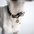 Indlæs billede i gallerifremviser, Hundehalsbånd Cloud7 Hyde Park Sort - MyDreamPet