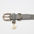 Indlæs billede i gallerifremviser, Hundehalsbånd Cloud7 Tiergarten Grå - MyDreamPet