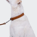 Indlæs billede i gallerifremviser, Hundehalsbånd Læder Cloud7 Central Park Camel - MyDreamPet