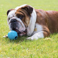 Indlæs billede i gallerifremviser, Hundelegetøj Aktivitetsbold Naturgummi Beco - MyDreamPet