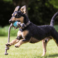 Indlæs billede i gallerifremviser, Hundelegetøj Beco Bold naturgummi og reb - MyDreamPet
