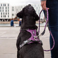 Indlæs billede i gallerifremviser, Hundesele DogCopenhagen Comfort Walk Pro™ Sele Mocca - MyDreamPet