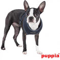 Indlæs billede i gallerifremviser, Hundesele Super Soft Chest Harness Puppia i flere farver - MyDreamPet