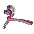 Indlæs billede i gallerifremviser, Hundesnor DOGMA STRIPES - MyDreamPet