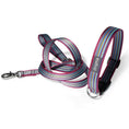 Indlæs billede i gallerifremviser, Hundesnor DOGMA STRIPES - MyDreamPet