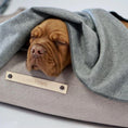 Indlæs billede i gallerifremviser, Hundetæppe Åsnen Labbvenn - MyDreamPet