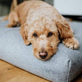 Indlæs billede i gallerifremviser, Labbvenn Hundepude Finno Beige - MyDreamPet