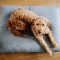 Indlæs billede i gallerifremviser, Labbvenn Hundepude Finno Grå - MyDreamPet
