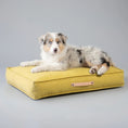 Indlæs billede i gallerifremviser, Labbvenn Hundepude Møvik Pillow Honning - MyDreamPet