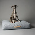 Indlæs billede i gallerifremviser, Labbvenn Hundepude Nordic Oslo - MyDreamPet